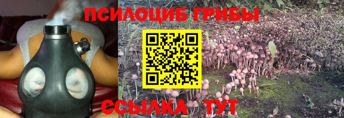 Псилоцибиновые грибы прущие грибы  дарнет шоп  Тимашёвск  Псилоцибиновые грибы Psilocybine cubensis  Вход с VPN 